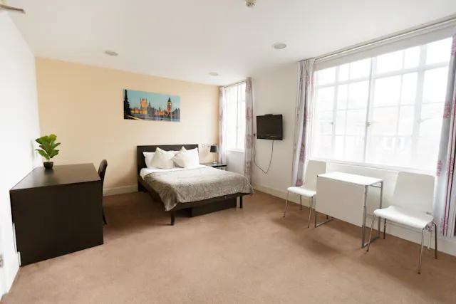 Gold Plus Studio room image 1
