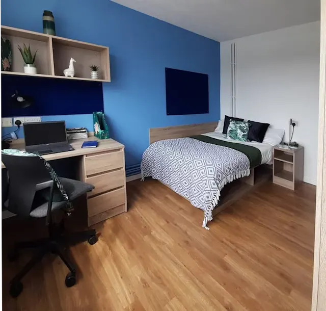 Gold Plus room image 1