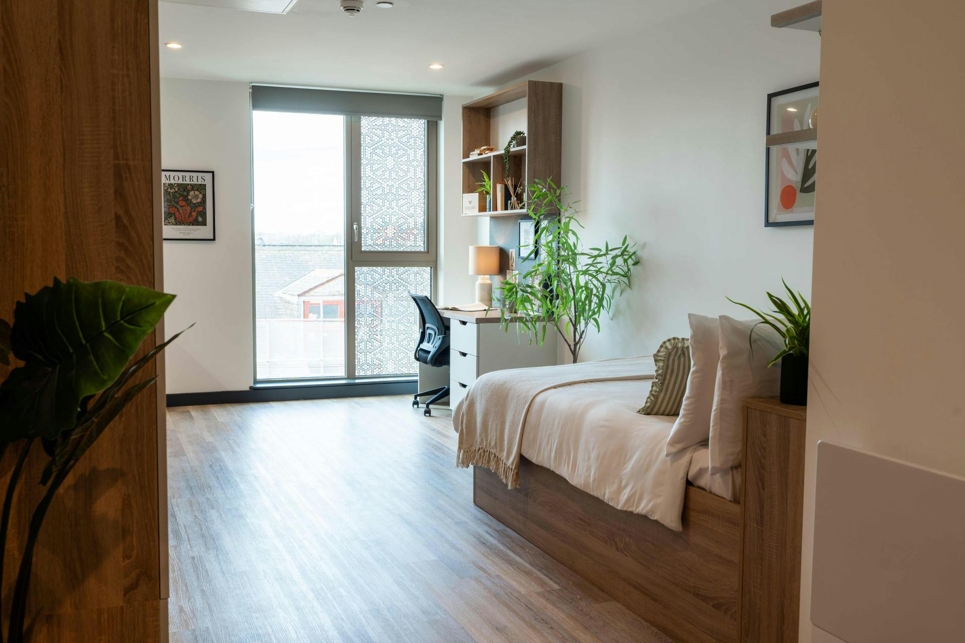 Gold Studio