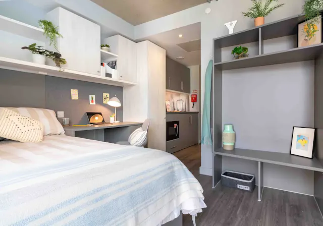 Gold Studio Deluxe room image 1