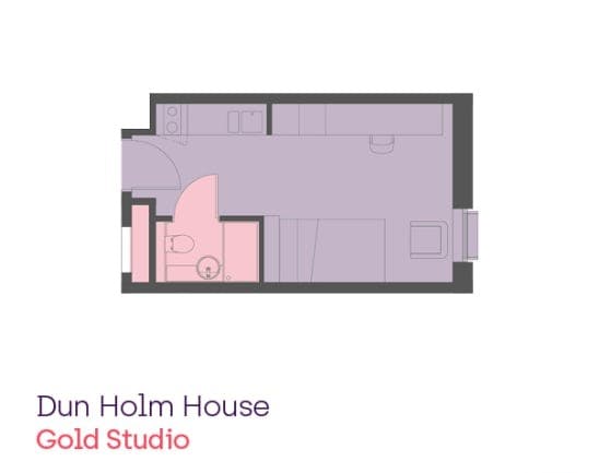 Gold Studio