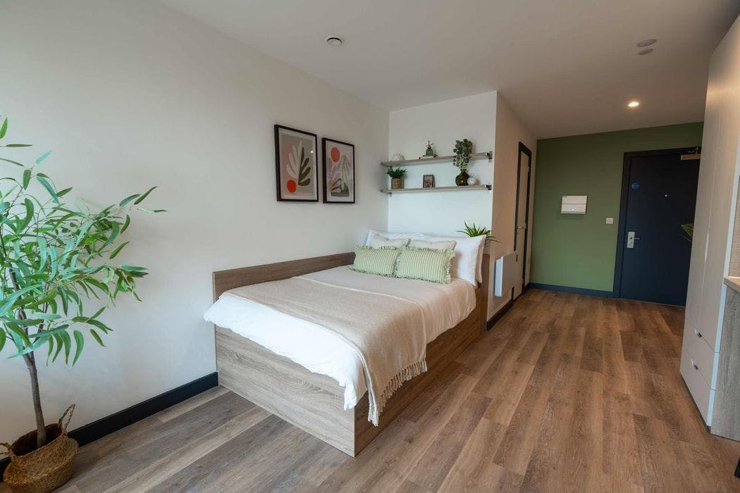 Gold Studio (Loft)
