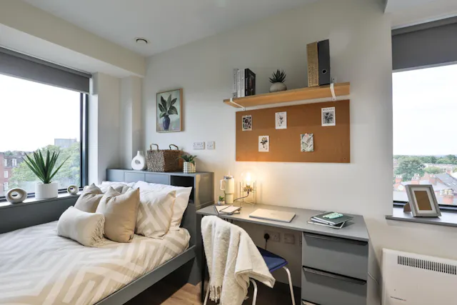 Gold Studio Plus room image 1
