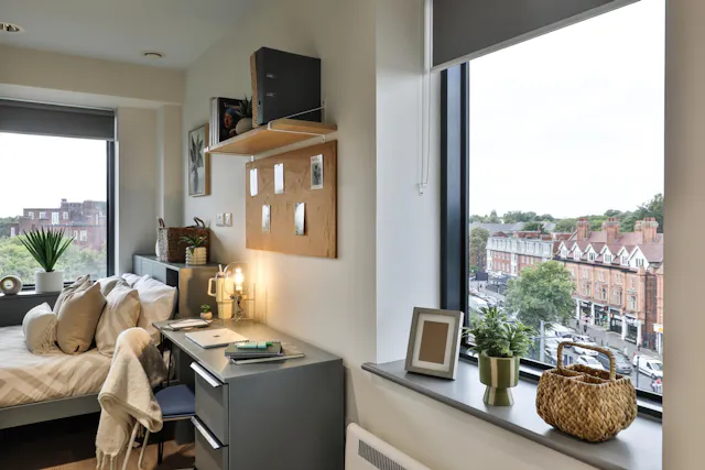 Gold Studio Plus room image 2