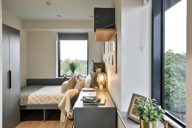 Gold Studio Plus room image 3