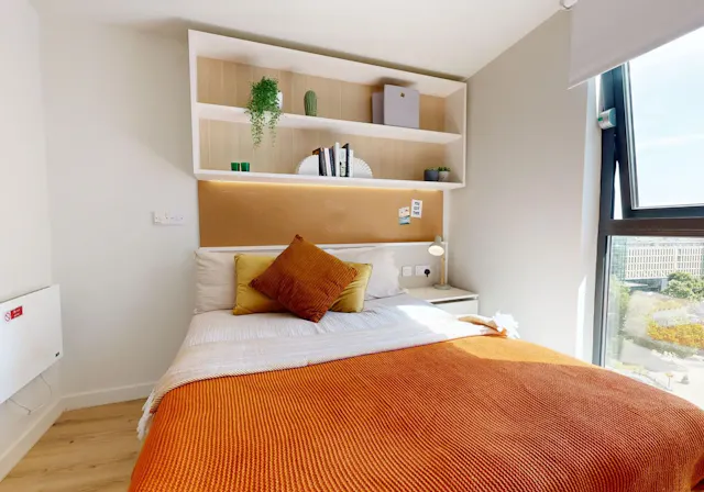 Gold Studio Plus room image 2
