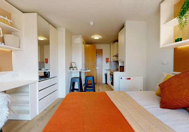 Gold Studio Plus room image 3