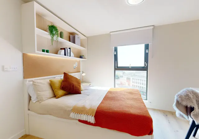 Gold Studio Plus room image 1