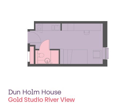 Gold Studio River View