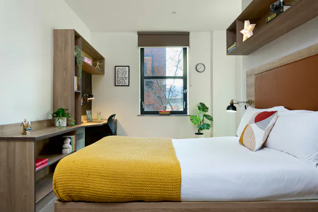 Gold Studio Terrace room image 1