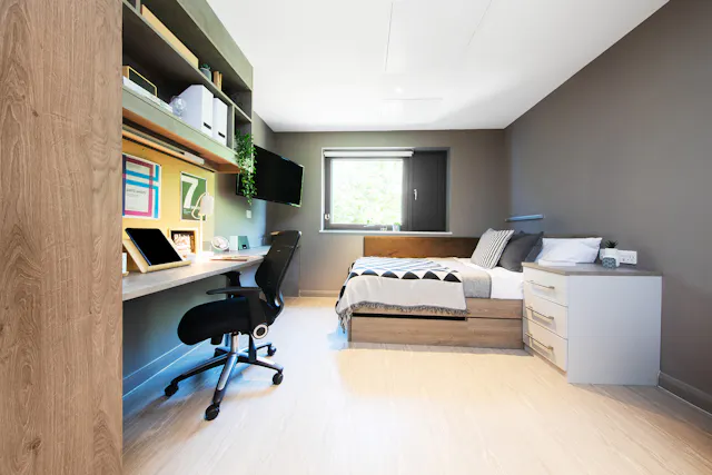 Gold Studio room image 1