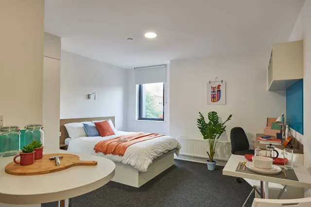 Platinum Studio  room image 1