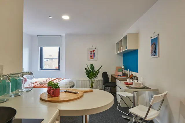 Platinum Studio room image 2
