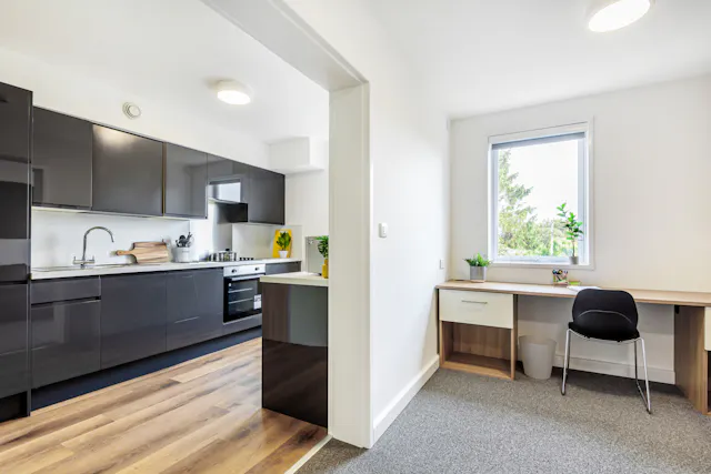 Ground Floor Studio room image 3