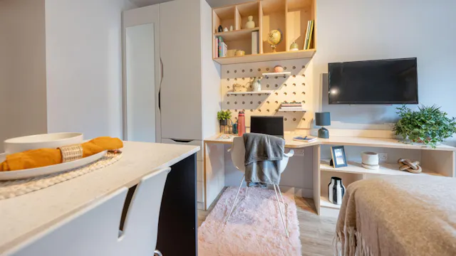 Standard Studio room image 2