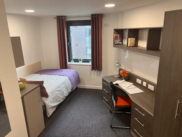 Deluxe Room room image 2