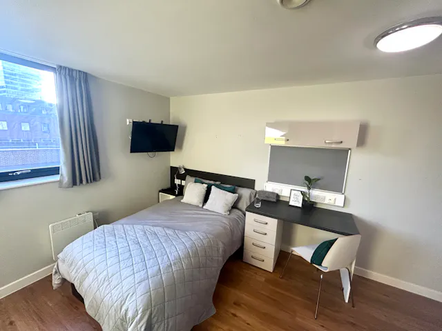 Premium Studio room image 1
