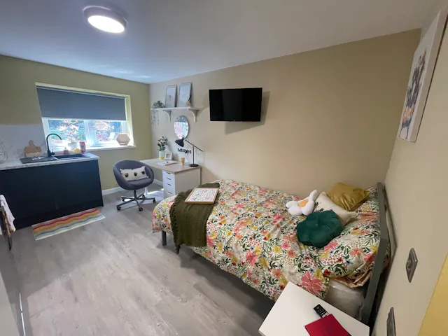 Deluxe Studio room image 1