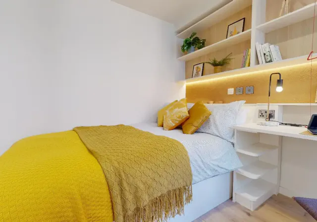 Gold Studio Plus room image 2