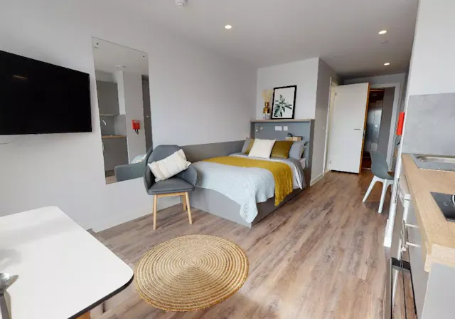 Platinum Studio  room image 1