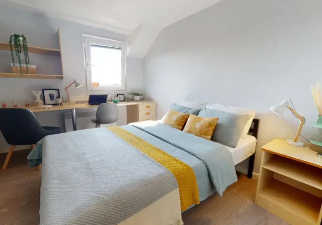 Silver En Suite Plus room image 1
