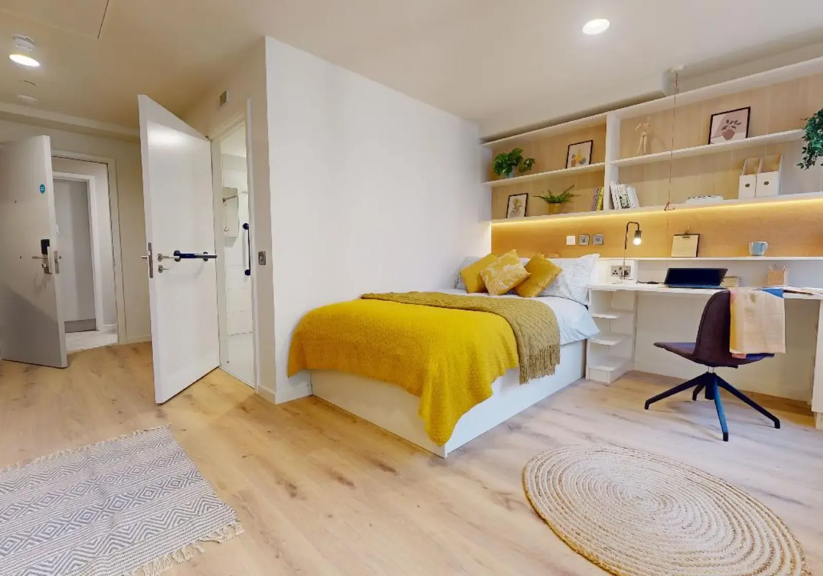 Gold Studio Plus