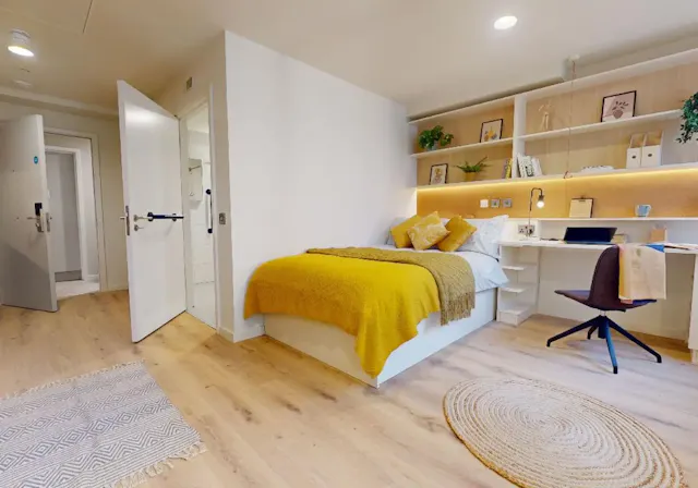Gold Studio Plus room image 1