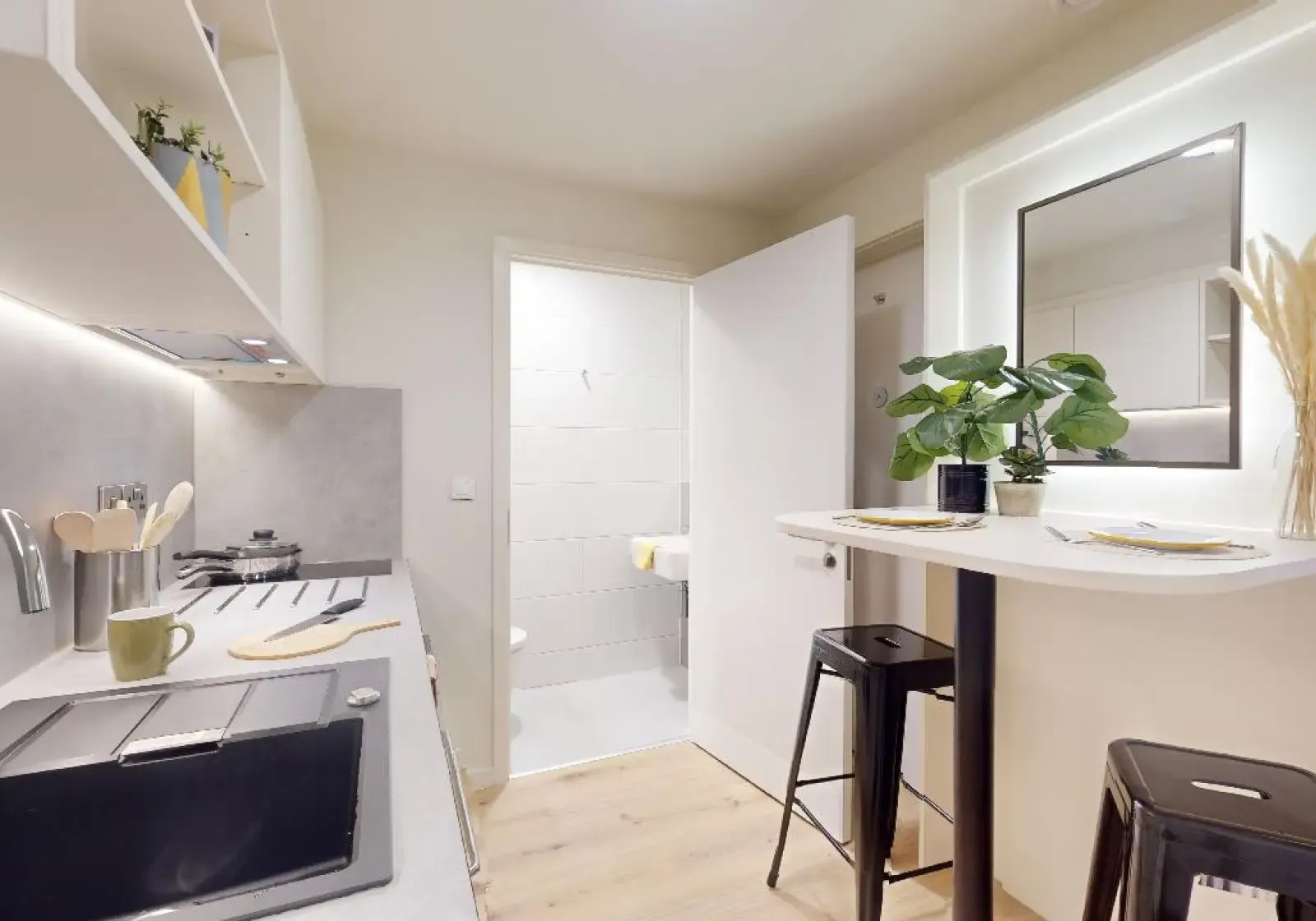 Silver Two Bed Apartment Plus