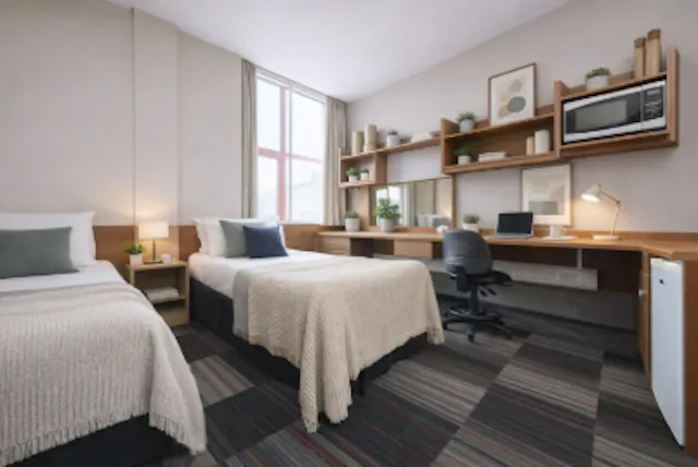 Deluxe Double Studio room image 1