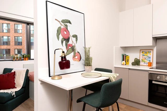 Studio Large High Double