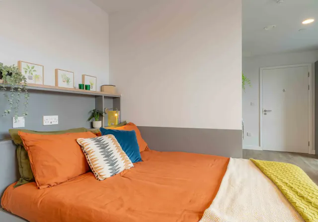 Platinum Studio room image 2