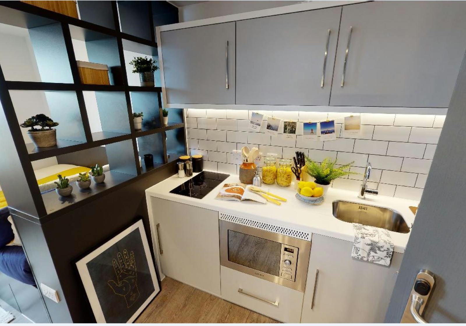 Platinum Penthouse Plus