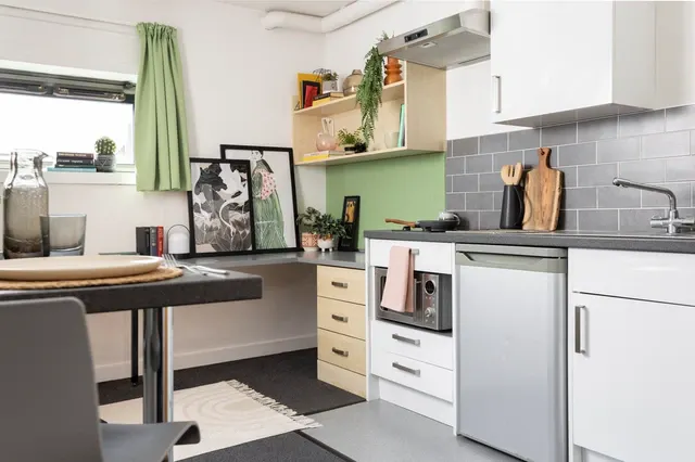 Studio Large Standard Double KITCHEN 2