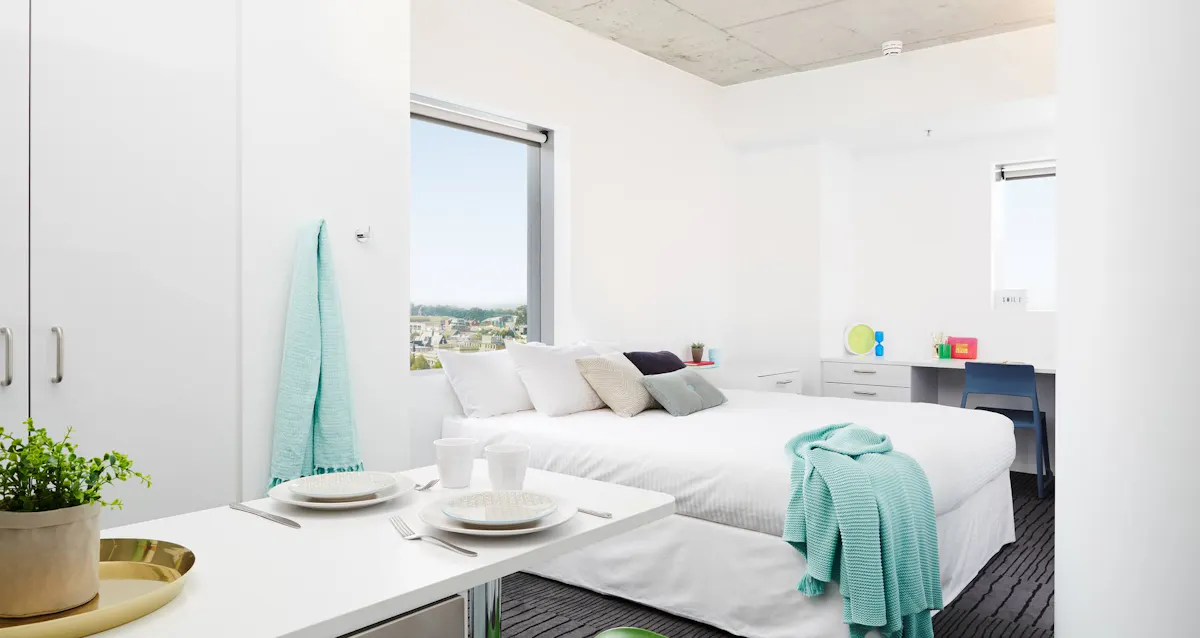 Large Studio Apartment ROOM
