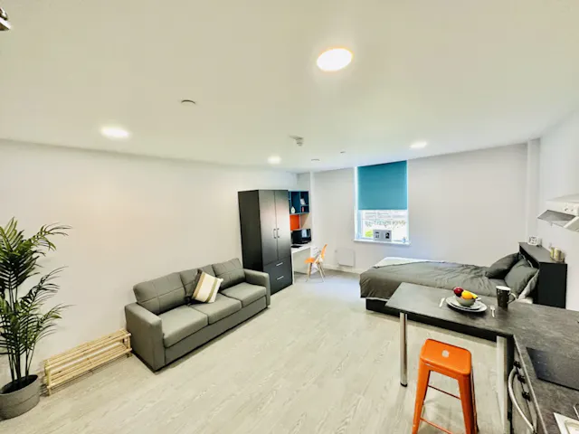 Large Studio room image 1