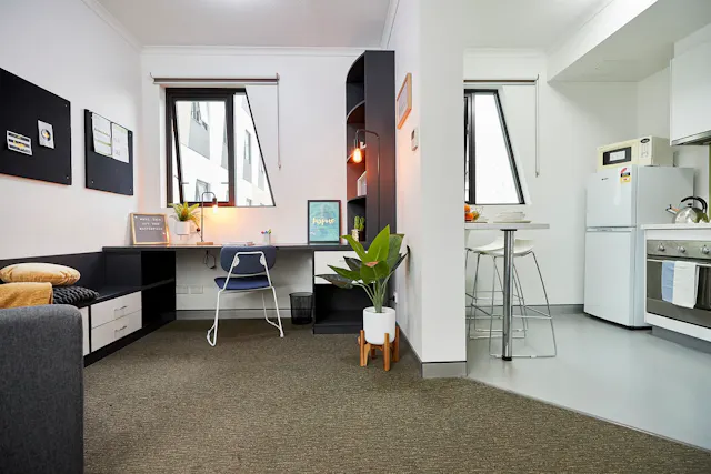 Large Studio Apartment room image 1