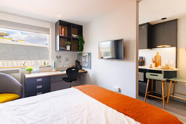 Luxury Studio room image 3