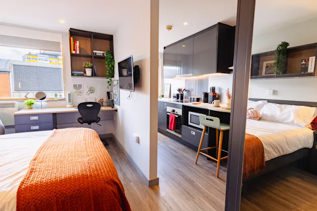 Luxury Studio room image 2