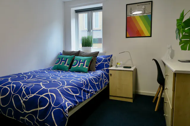 Large Double room image 1