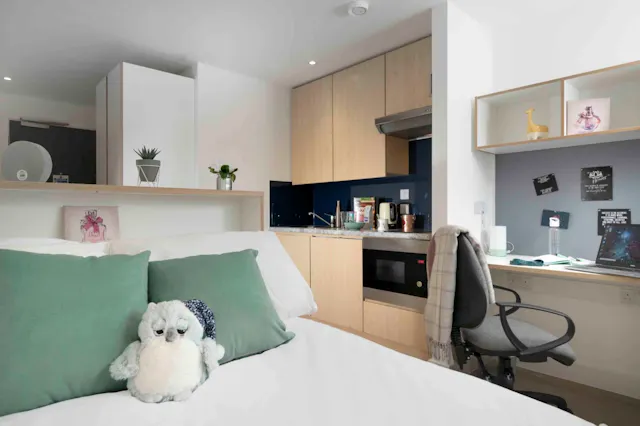 Penthouse room image 1