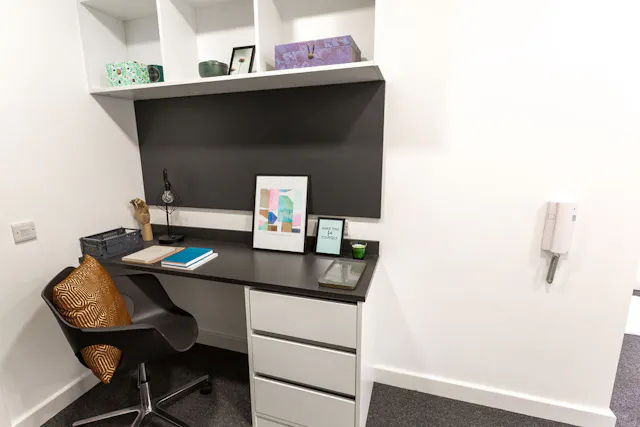 Large Premium Studio Accessible room image 2