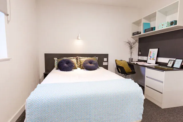 Large Premium Studio room image 1