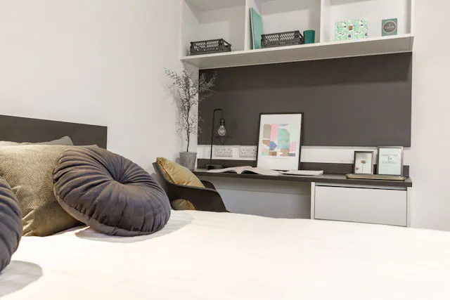 Large Premium Studio room image 4