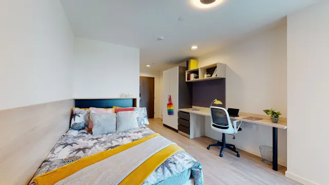 Large Single Plus room image 1