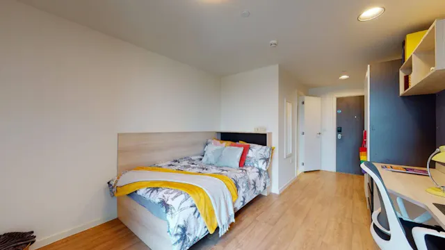 Large Single Plus room image 2
