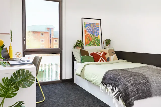 Large Standard Double Studio room image 1