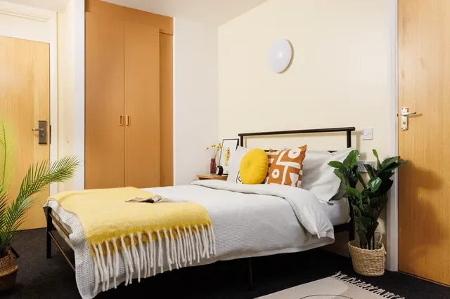 Large Standard Double Three Bed Flat ROOM