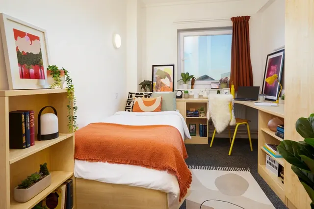 Large Standard Single Ensuite room image 1