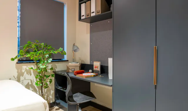 Large Studio room image 2