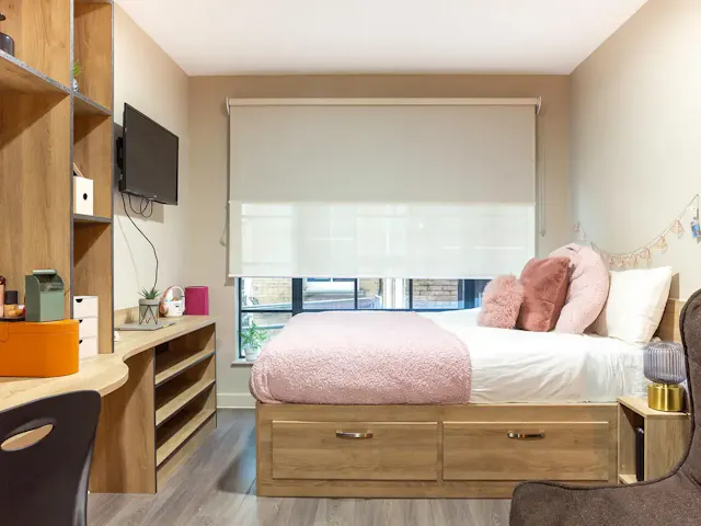 Large Studio room image 2